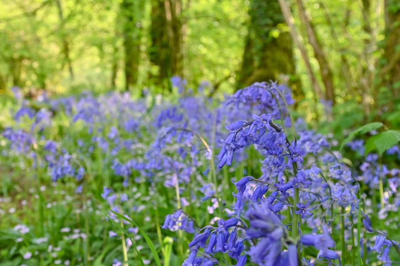 Wray Valley 모어턴햄스테드 외부 사진