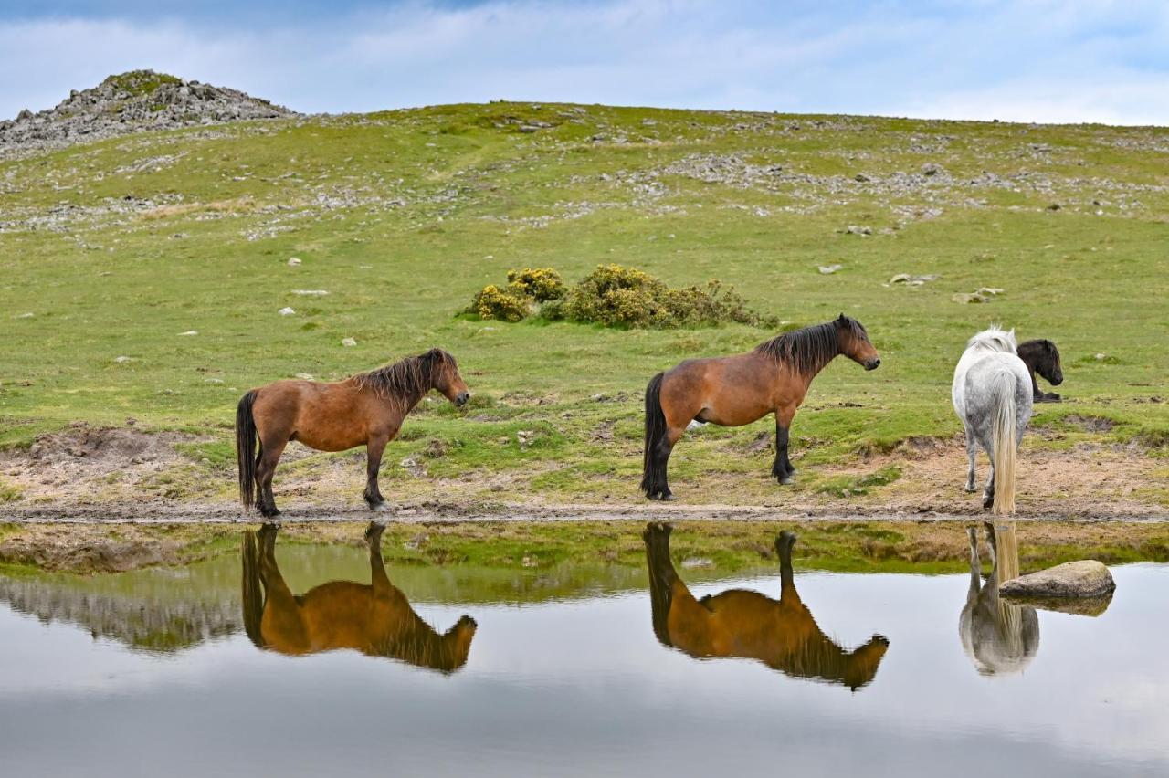 Wray Valley 모어턴햄스테드 외부 사진